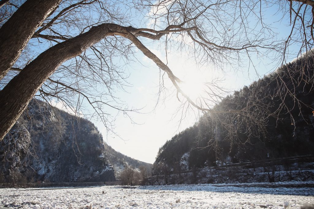 Ice wedding, ice dinner, tule bridal skirt, blush, burgundy, brown, dried florals, winter, frozen lake, styled shoot.