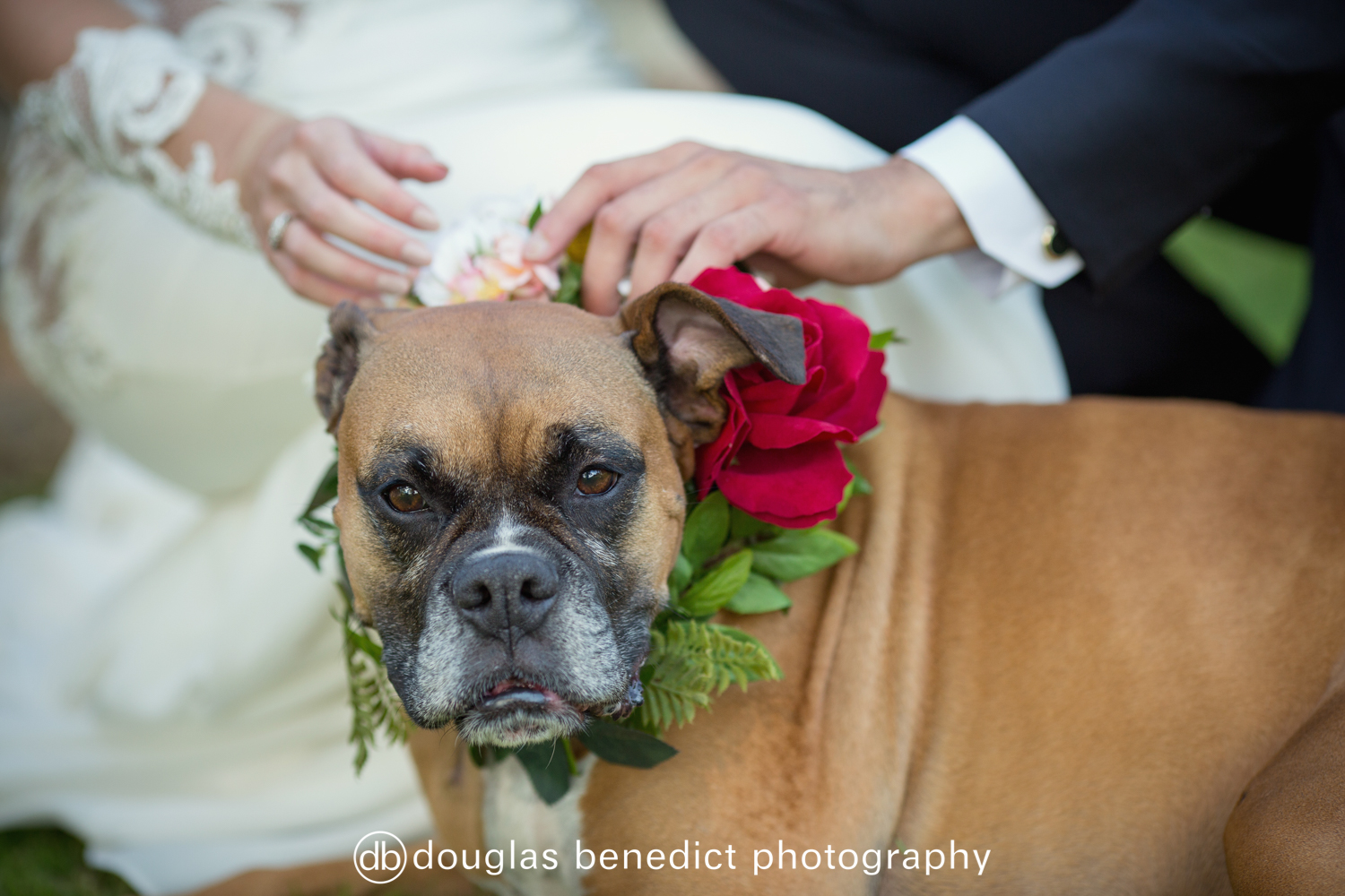 Romantic and Soft Country Club Wedding